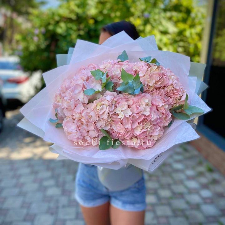 5 розовых гортензий Summer в Адлере