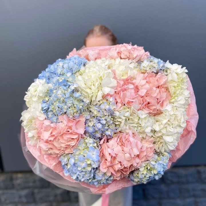 19 гортензий микс в Адлере