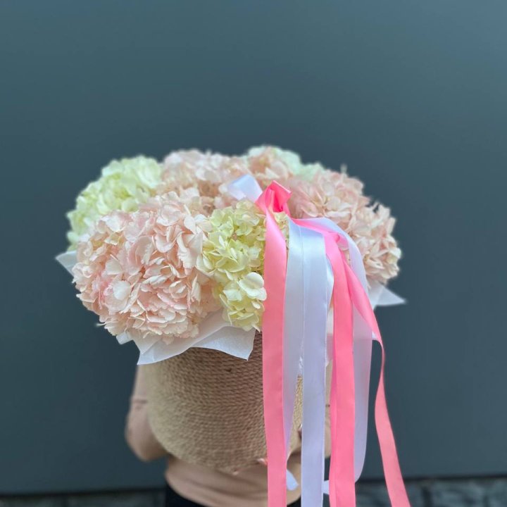 7 гортензий в кашпо в Адлере