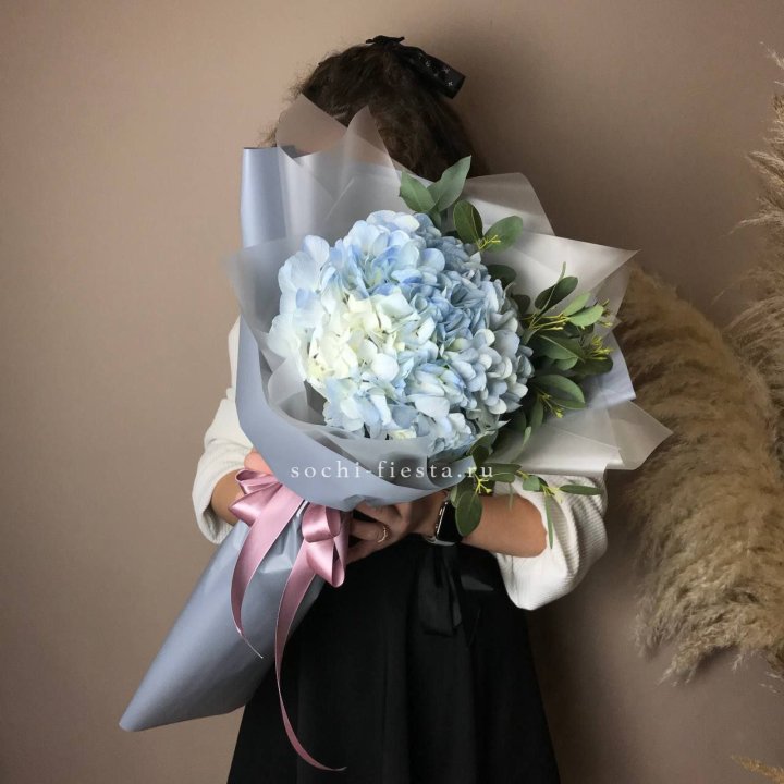 Гортензия Уно в Адлере