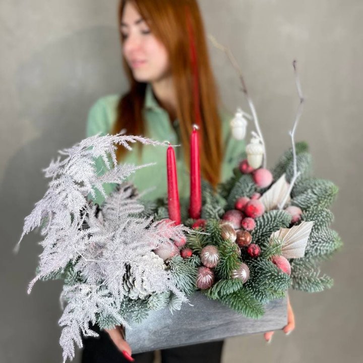 Бокс красный с нобилисом в Адлере