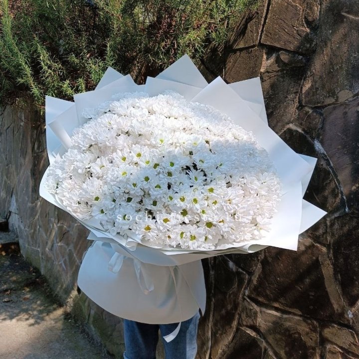 Облако хризантем №2 в Адлере