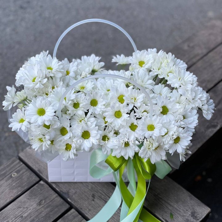 Сумка с хризантемами ромашками в Адлере