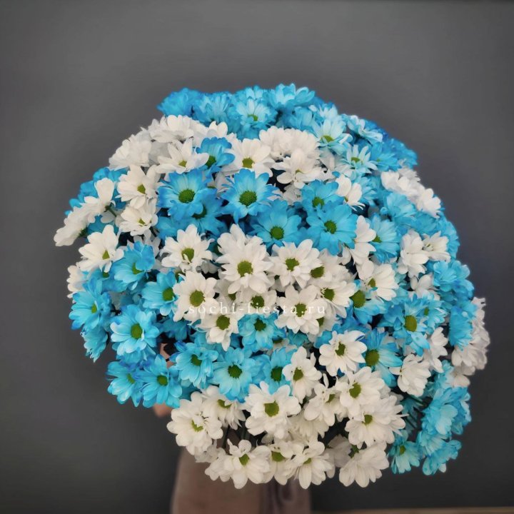  Букет хризантем MIX в Адлере