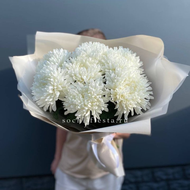 Профитроли в Адлере