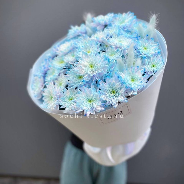  Букет нежно-голубых хризантем  в Адлере