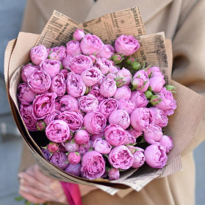 Роза Мисти Баблс в Адлере