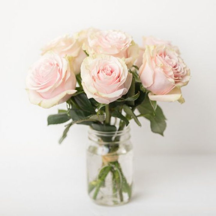 7 кремовых роз в Адлере