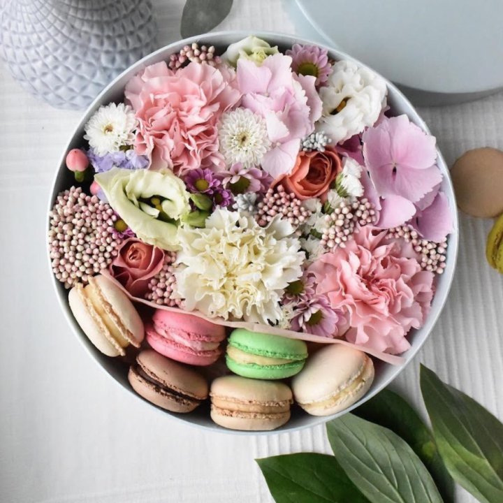 Creambox M в Адлере