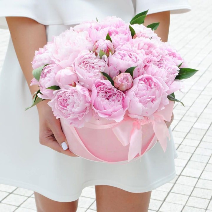 Пионы в шляпной коробке в Адлере