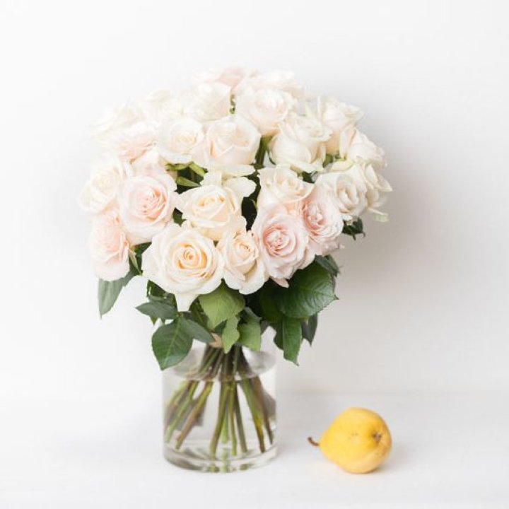25 кремовых роз в Адлере