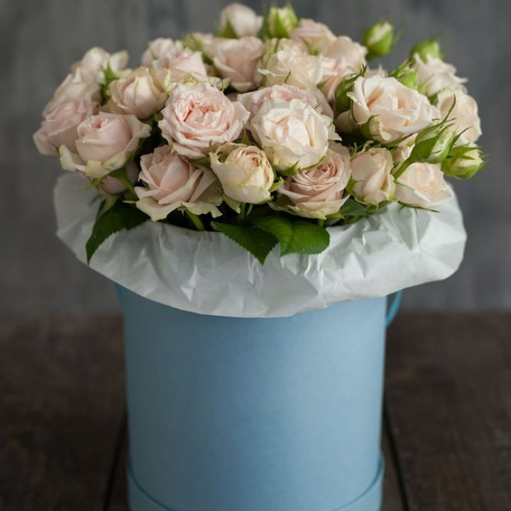 Flowerbox Sky в Адлере