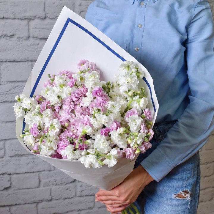 Маттиола в Адлере