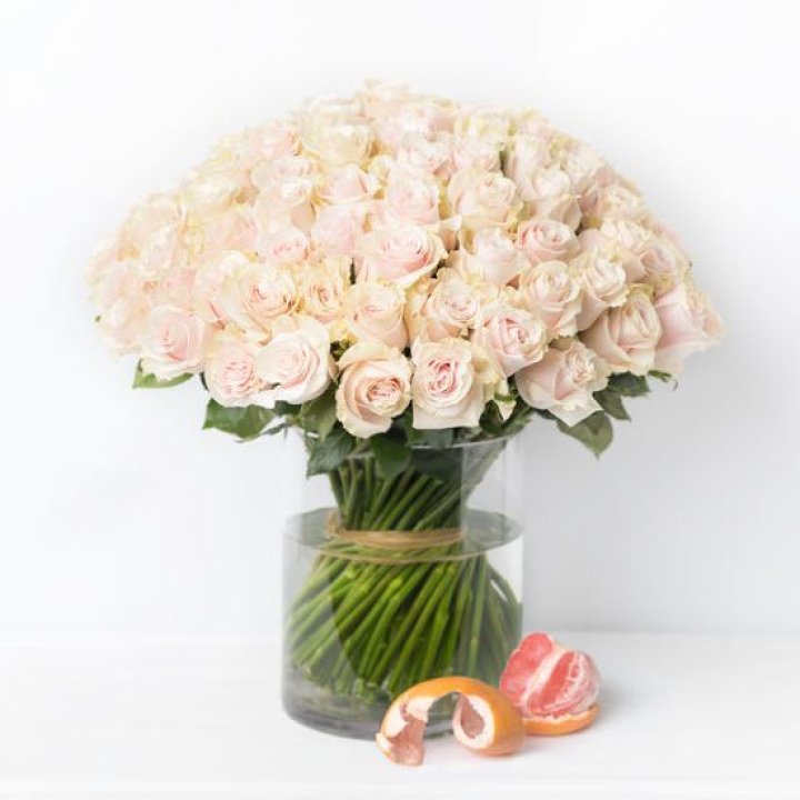 101 кремовая роза в Адлере