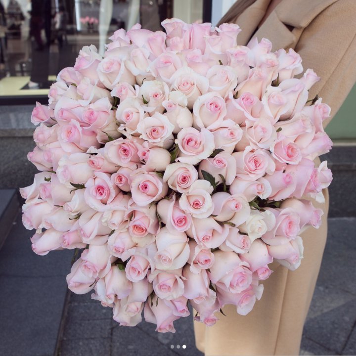 Розы "Пинк бум" в Адлере