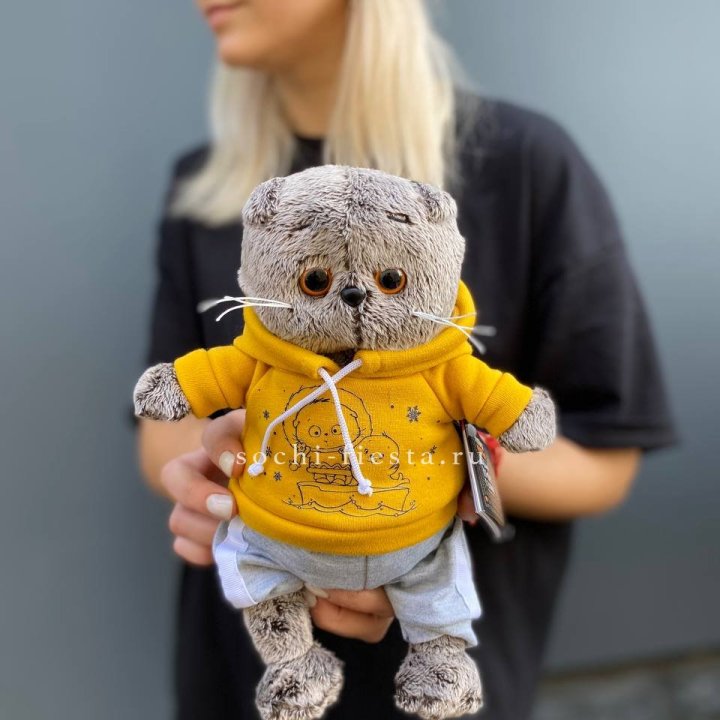 Кот Басик в худи в Адлере