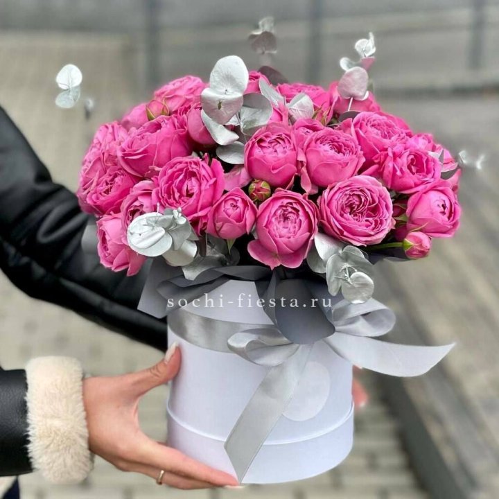 Бокс мисти баблс №2 в Адлере