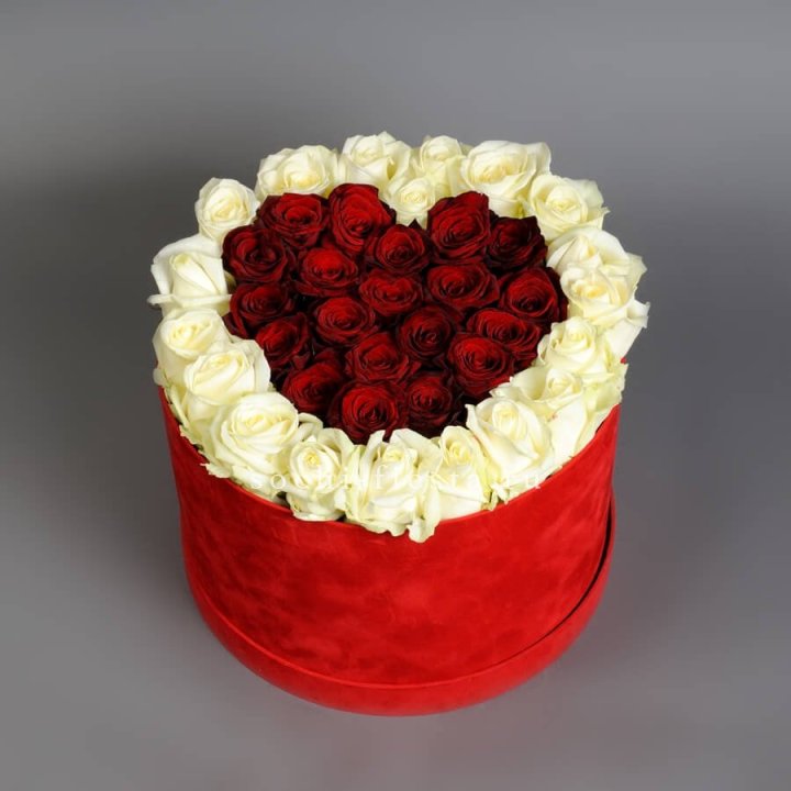 39 красных и белых роз в цилиндре в Адлере