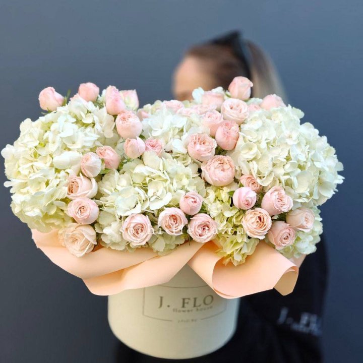 Дизайнерский бокс Isabella в Адлере