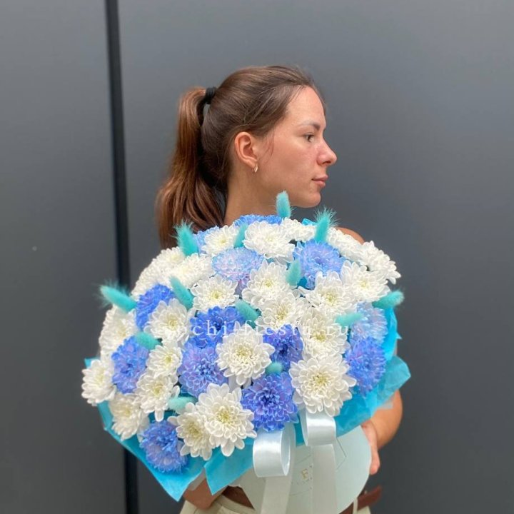  Коробочка  хризантем и лагуруса «Blue sea» в Адлере