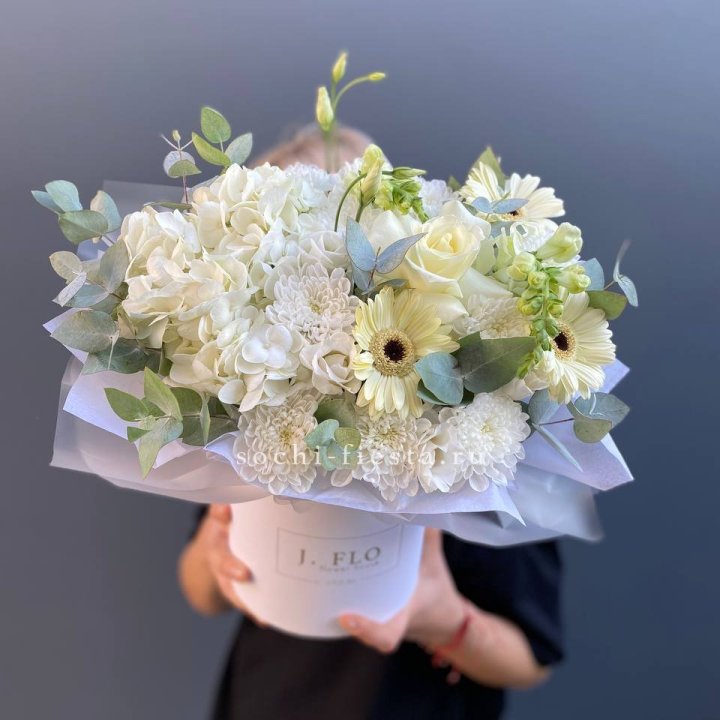  Коробочка  " Луна" в Адлере