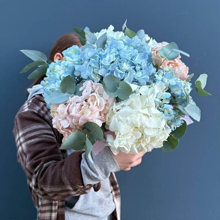 Гортензии в коробочке в Адлере