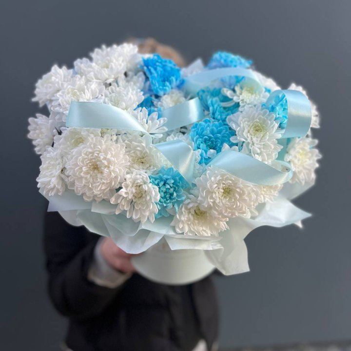 Хризнтемы в боксе в Адлере