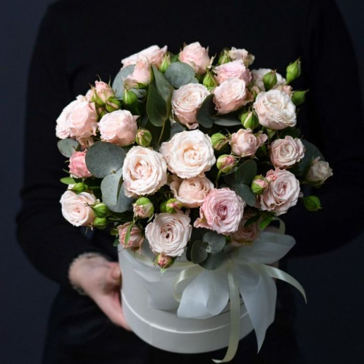 Бомбастик бокс №2 в Адлере