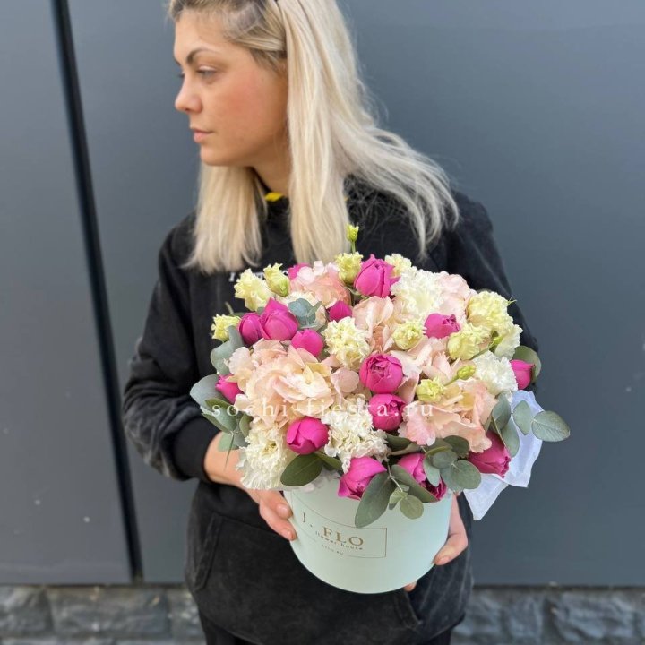 Сборный бокс премьер в Адлере