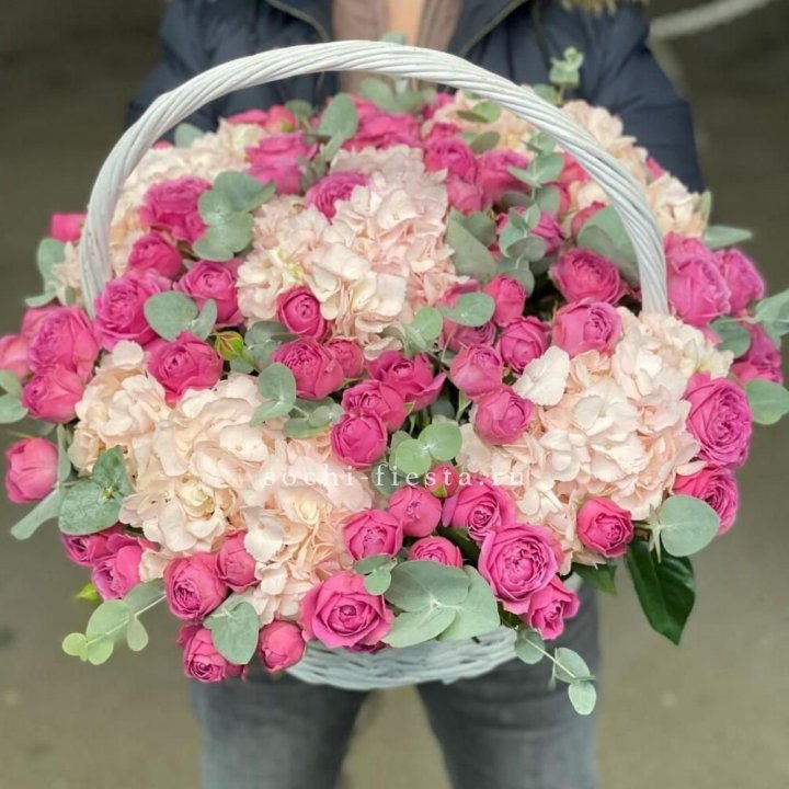Корзина с гортензией и Мисти Баблс в Адлере