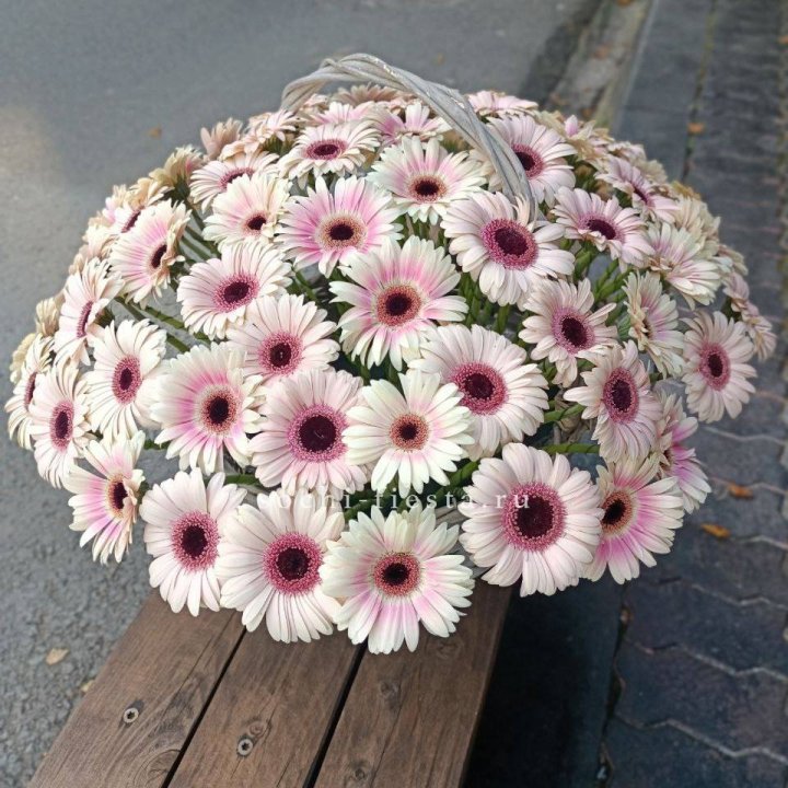 Корзина с герберами XXL в Адлере