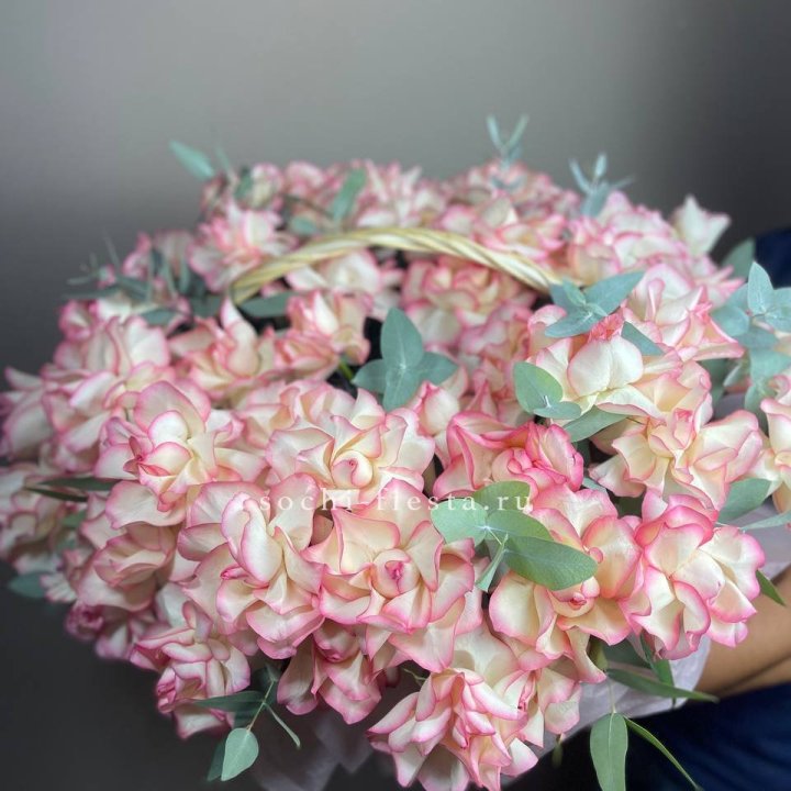 51 джумилия  в корзине   в Адлере