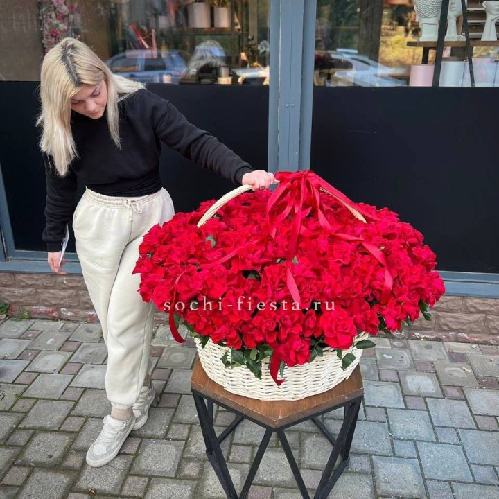 201 французская красная роза в Адлере