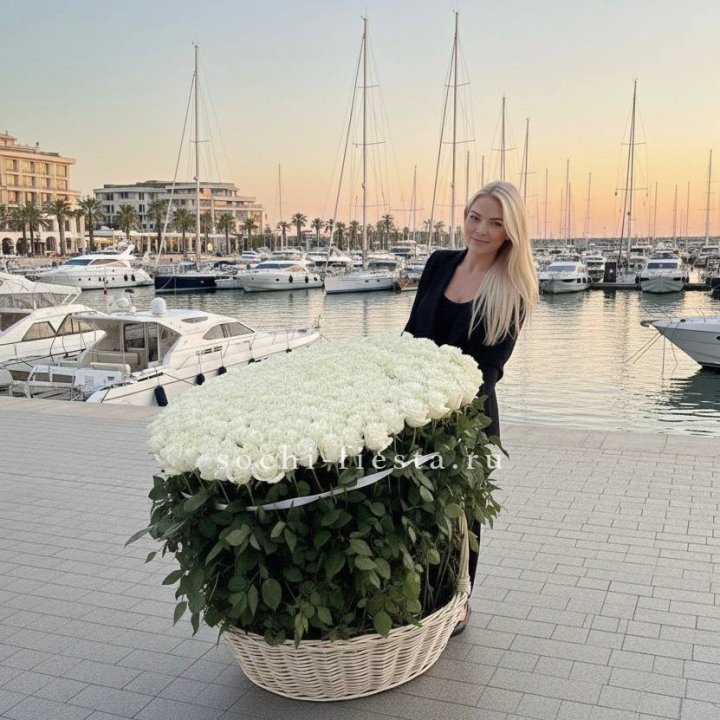 301 высокая роза в корзине в Адлере