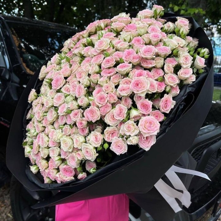 101 кустовая роза "Твистер" в Адлере