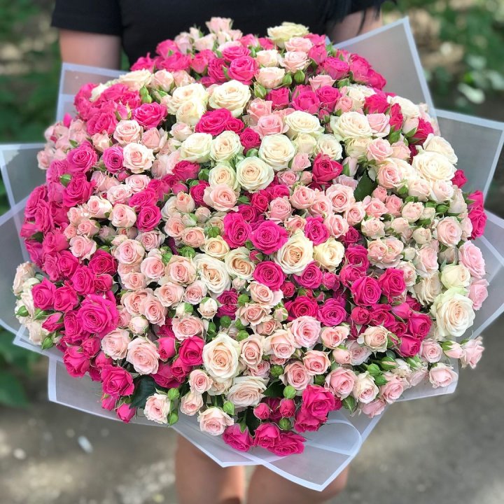 101 кустовая роза в Адлере