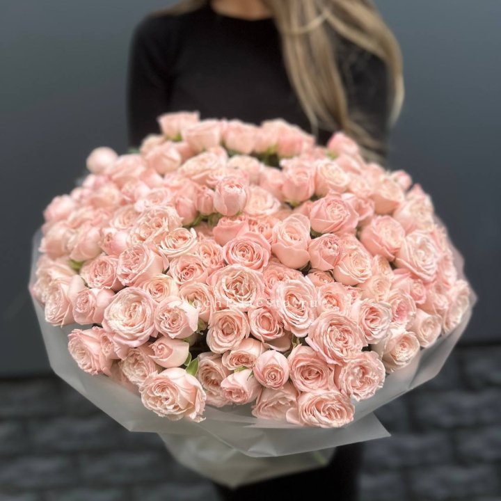 51 кустовая роза Бомбастик в Адлере