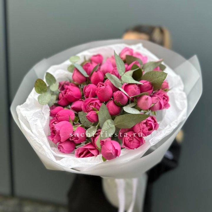 17 Мисти бабблс в Адлере