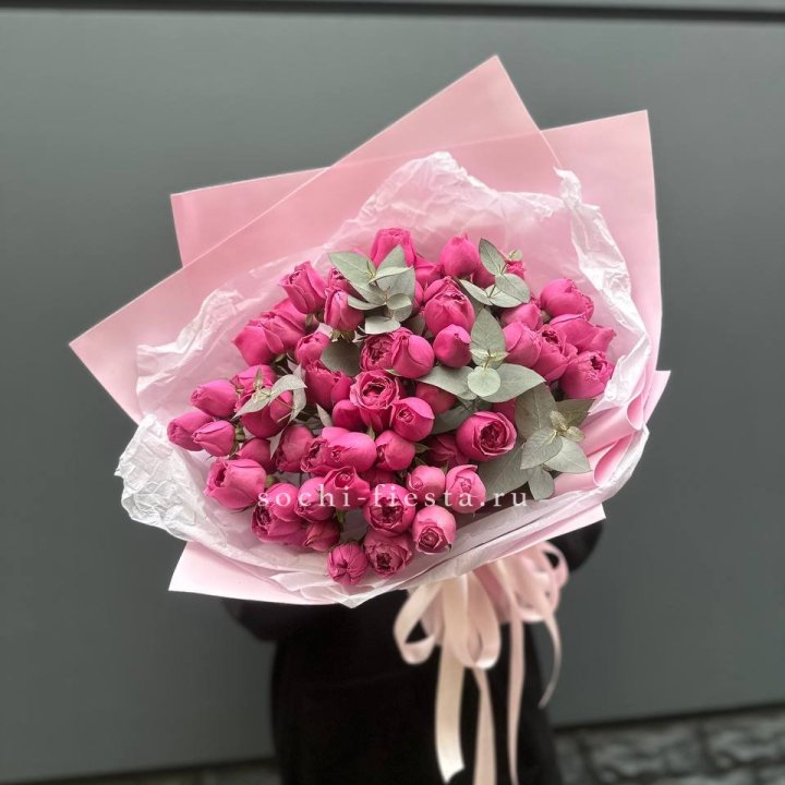 25 Мисти бабблс в Адлере