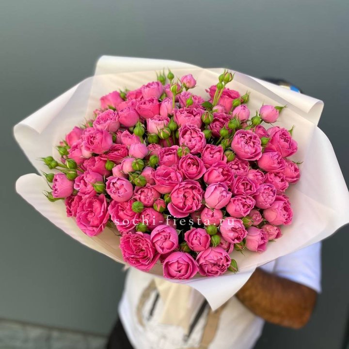 Мисти Баблс 35шт в Адлере