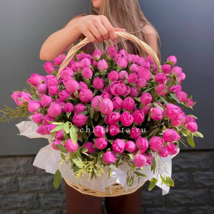 Misty Basket 51 в Адлере