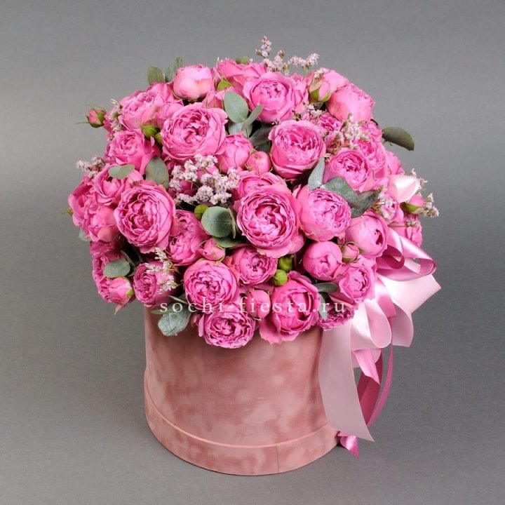 Мисти бокс №1 в Адлере