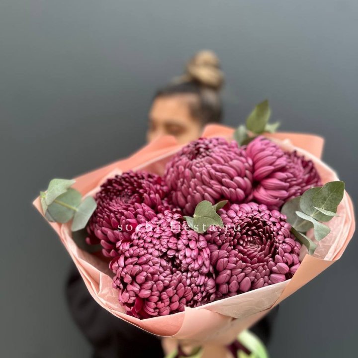 Хризантемы  Бигуди  в Адлере