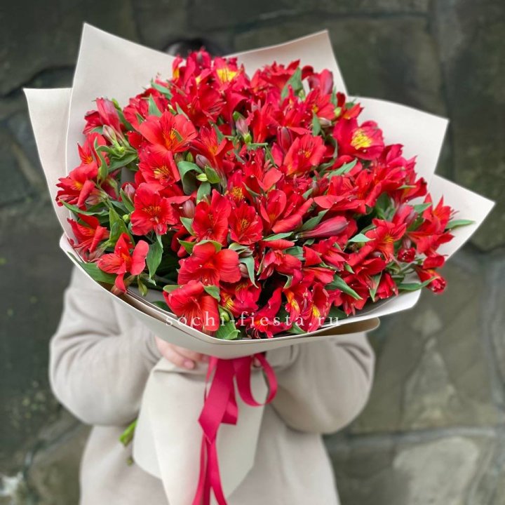 51 альстромерия в Адлере