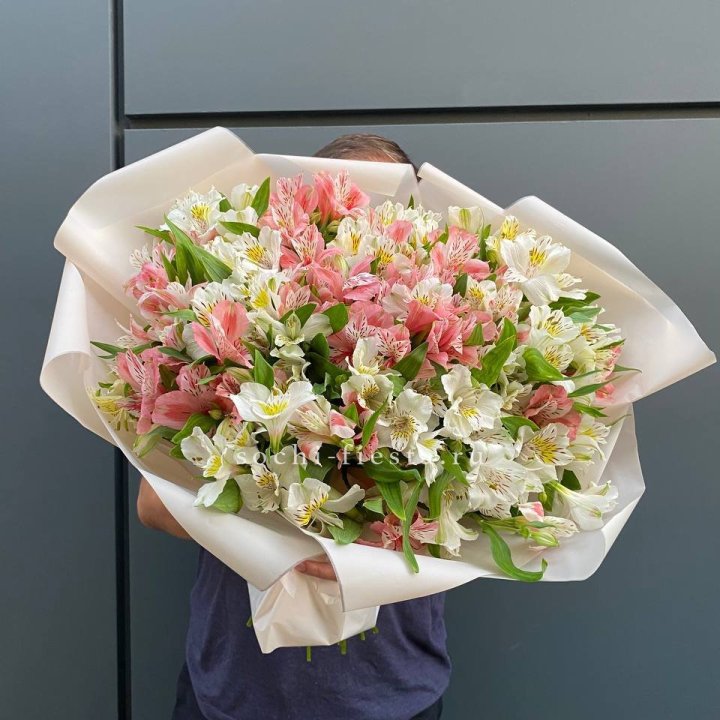 39 альстромерий в Адлере