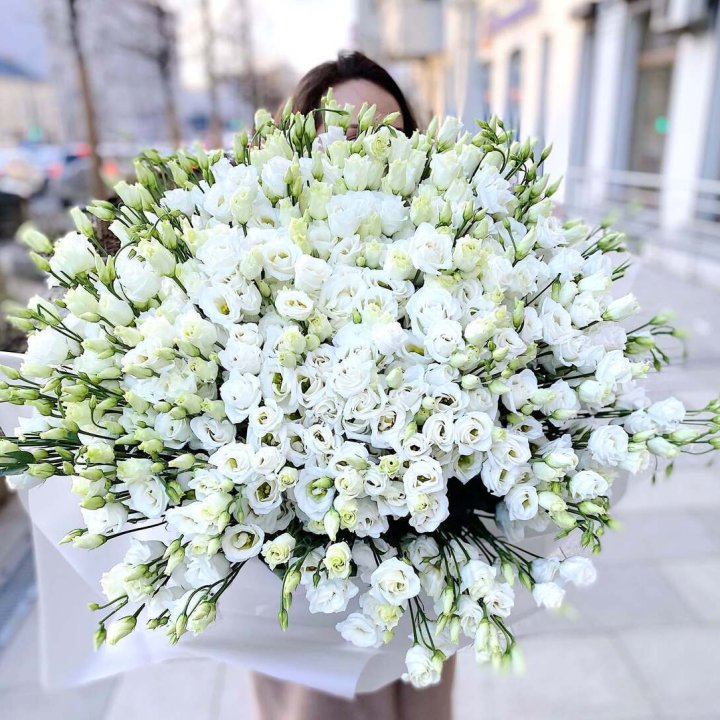 101 белая эустома в Адлере