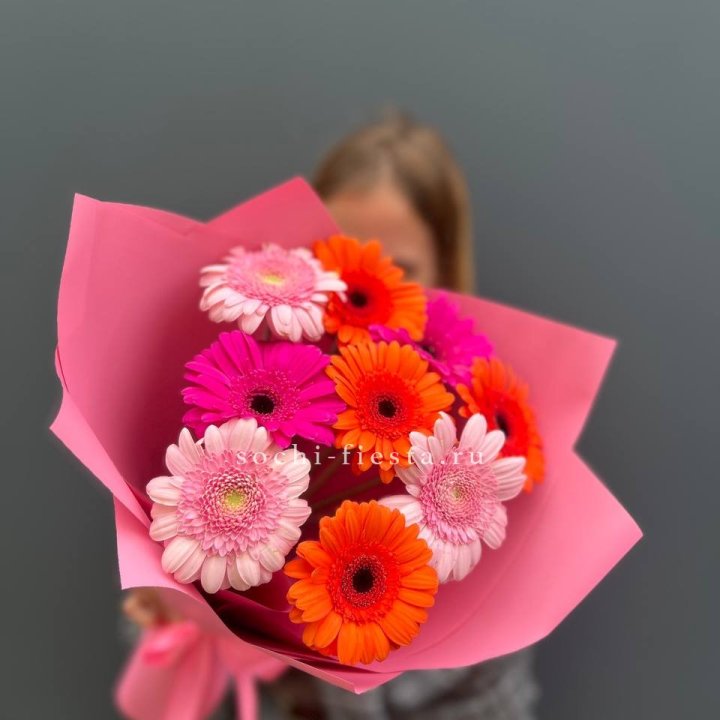 Краски в Адлере