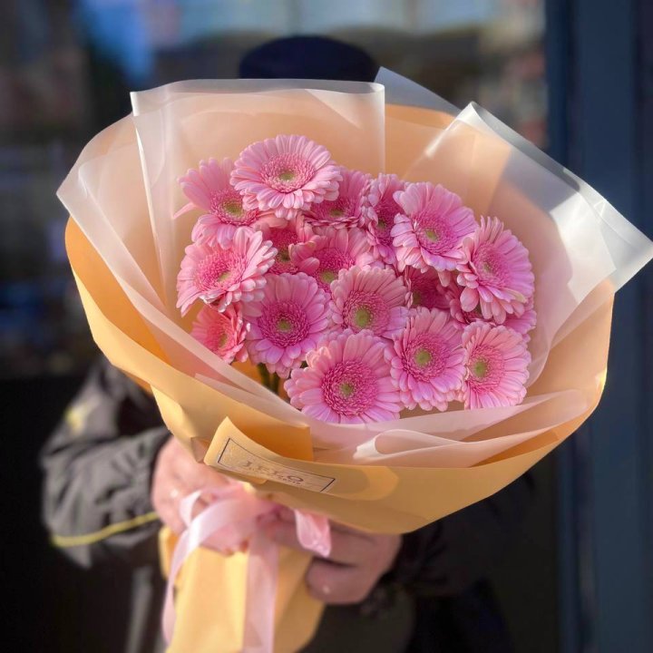 17 розовых гербер  в Адлере