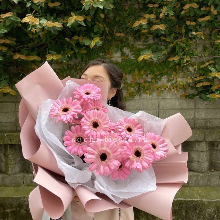 13 розовых гербер в Адлере