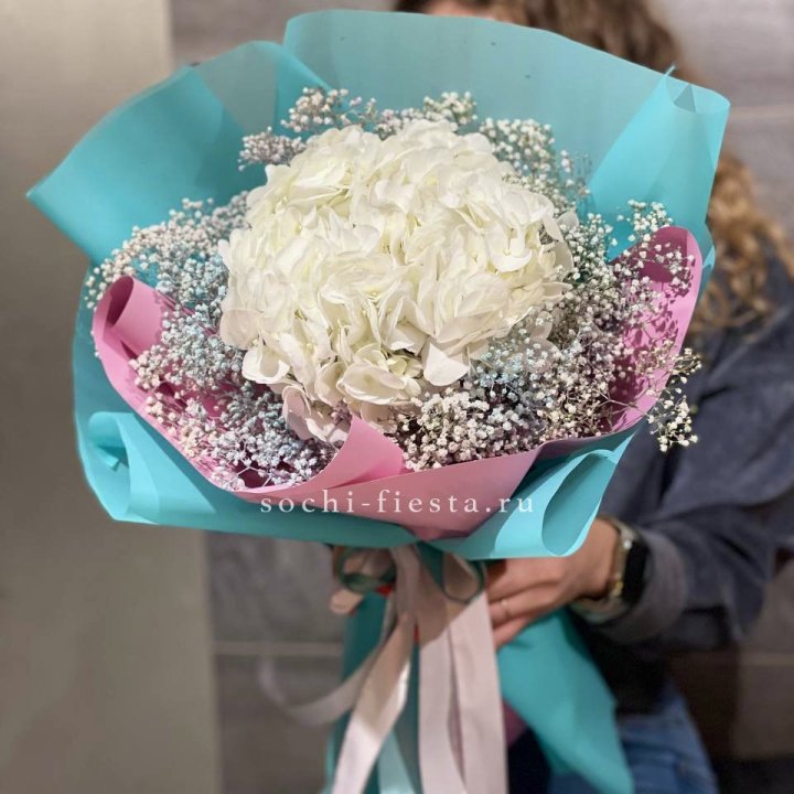 Гортензия "Rainbow" в Адлере